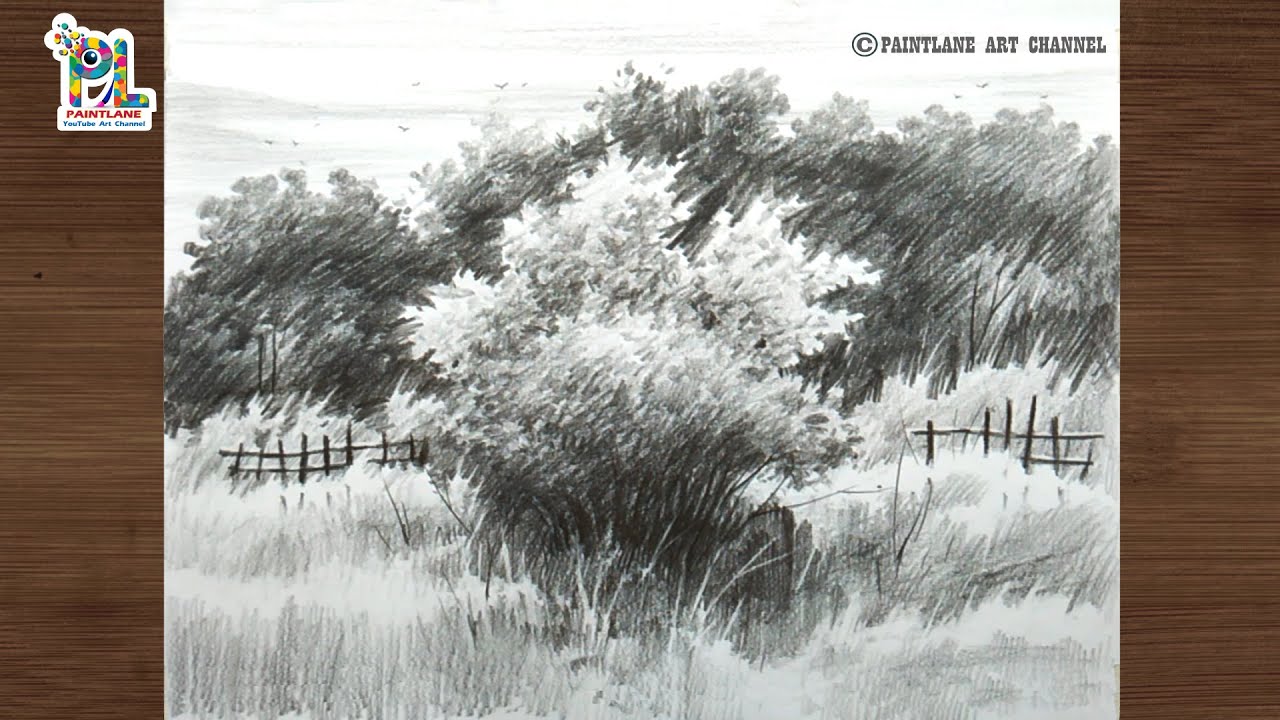 How to draw and shading bushes and trees with very easy pencil strokes || Simple method pencil art