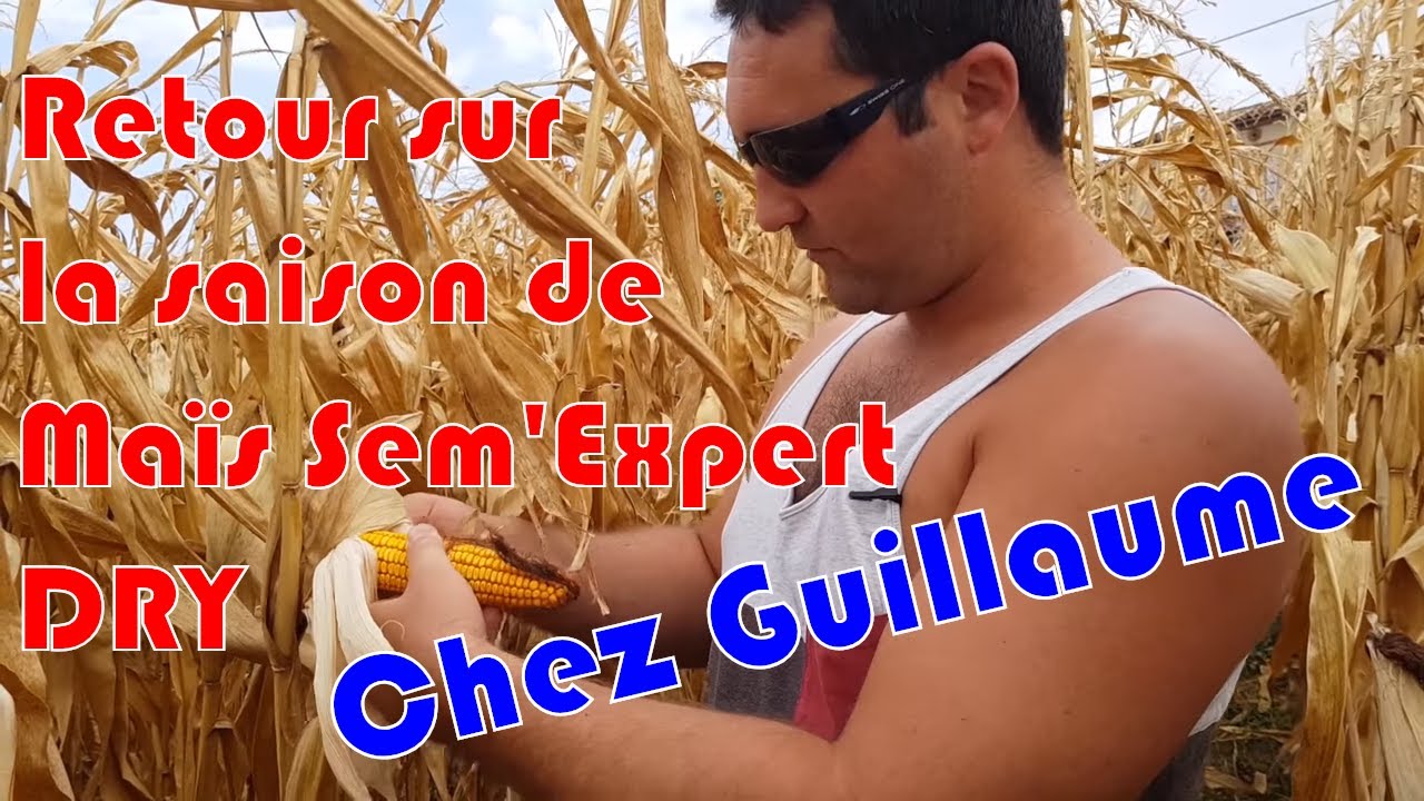Une saison de Ma&iuml;s Sem'Expert DRY de Guillaume