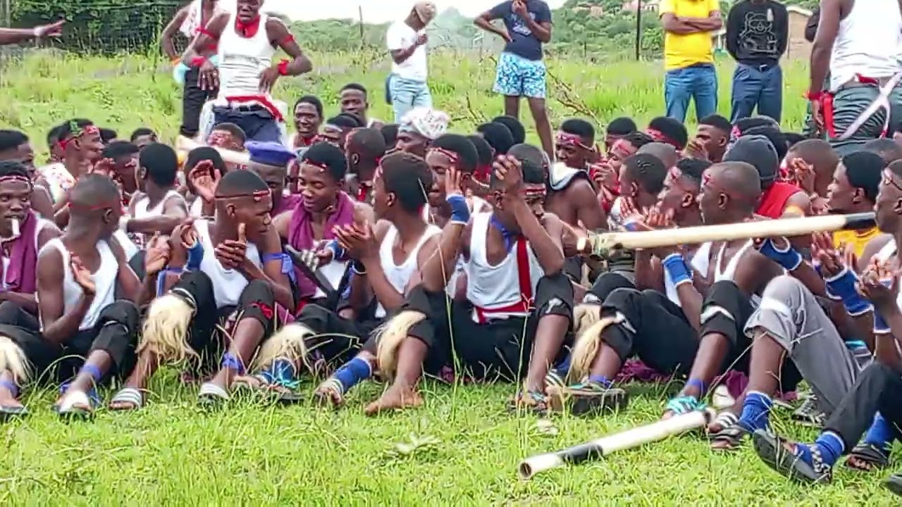 IZINSIZWA ZIBULALANA NGENGOMA E QUNEBE EBIBIZWE I PHUSHAMANDEBELE. 