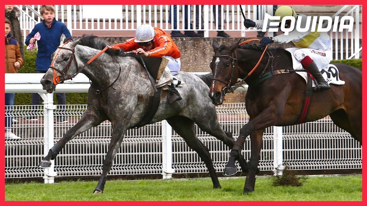 GRANDE COURSE DE HAIES DE PRINTEMPS 2019 | Paul's Saga | Auteuil | Groupe 3