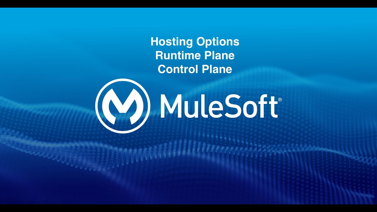 Hosting Options | Control Plane | RunTime Plane