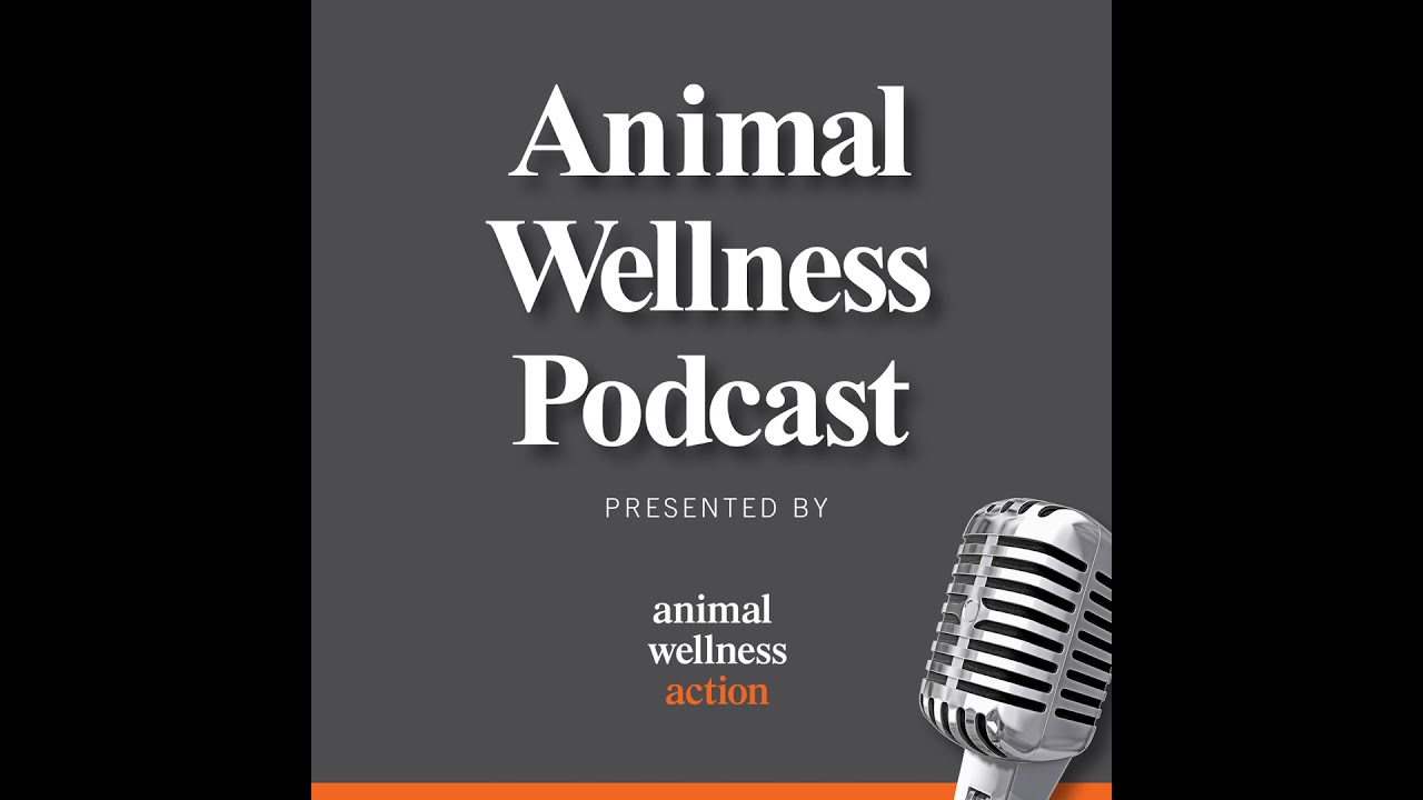 MISSION POSSIBLE: The struggle to rescue dogs from Afghanistan...and the CDC | Episode 37