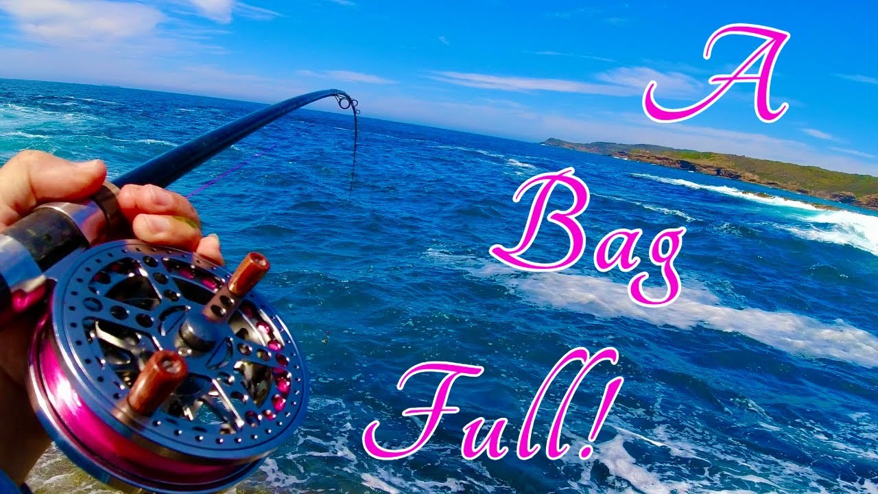 Blackfish Fishing, Bream Fishing of the rocks.