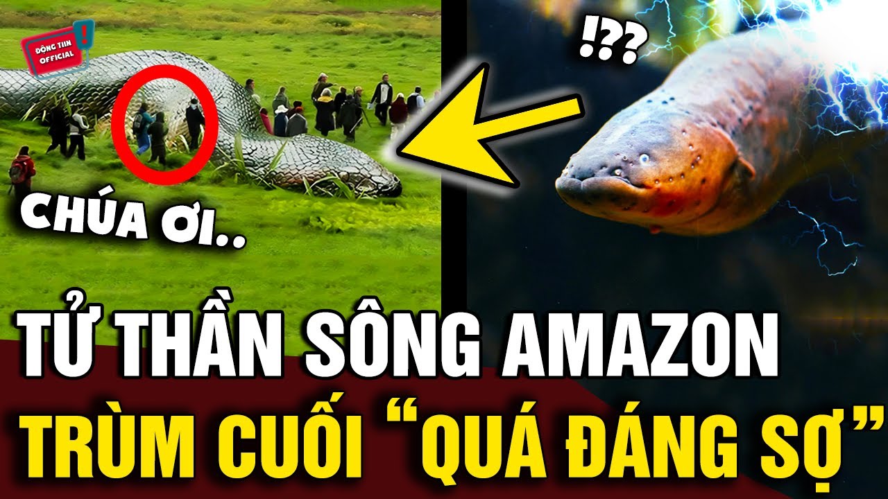 'SÔNG AMAZON' đáng sợ đến mức nào mà 'NGƯỜI DÂN' địa phương cũng không dám bơi dưới sông | Động Tiin
