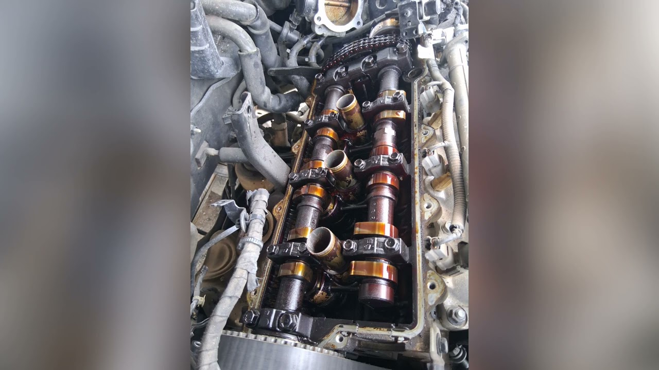 Para los levas fuera de tiempo El PACHA RIFA