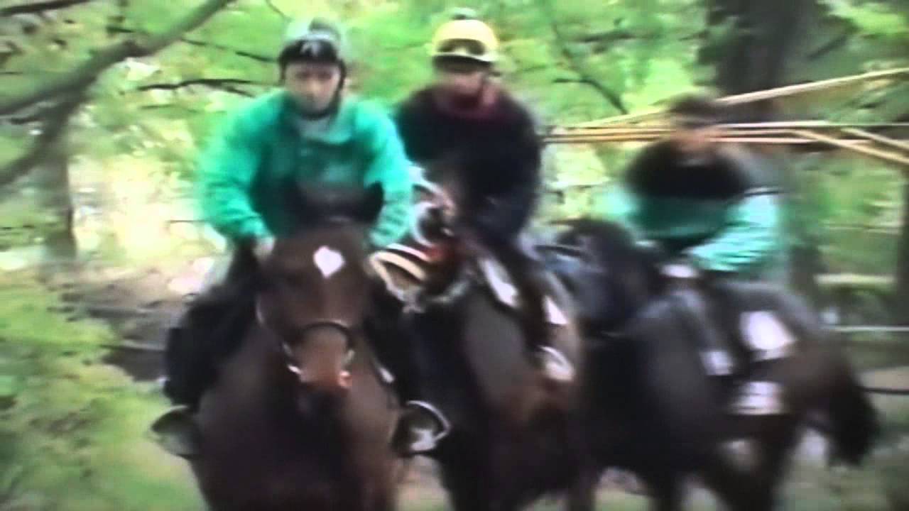 Szarlatan (Five Star Camp - Szwecja) , trener Dorota Kałuba, dżokej Tomasz Dul, 1997