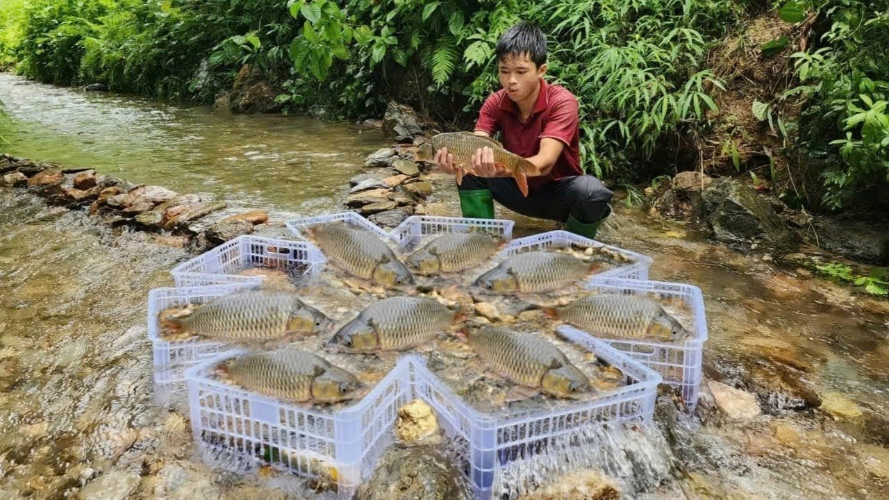 The boy used white plastic baskets to make fish traps in the stream. He caught very big fish.