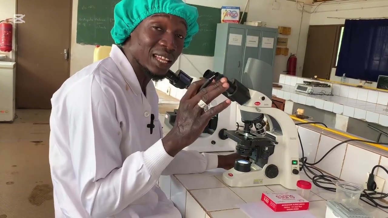 Evaluation de  la mobilité des spermatozoïtes ( spermogramme) #foryou 