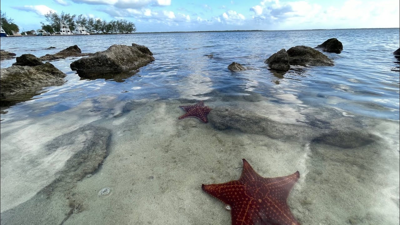 Spectacular Kaibo No 4, a premium beachfront vacation rental in the Cayman Islands