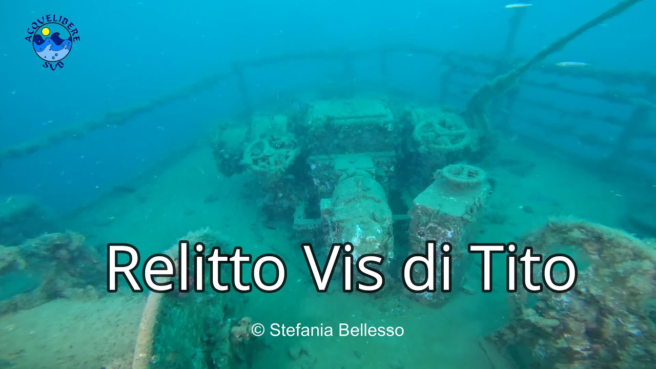 Relitto Vis di Tito in Croazia - Immersione sui Relitti dell'Alto Adriatico 2024 4K