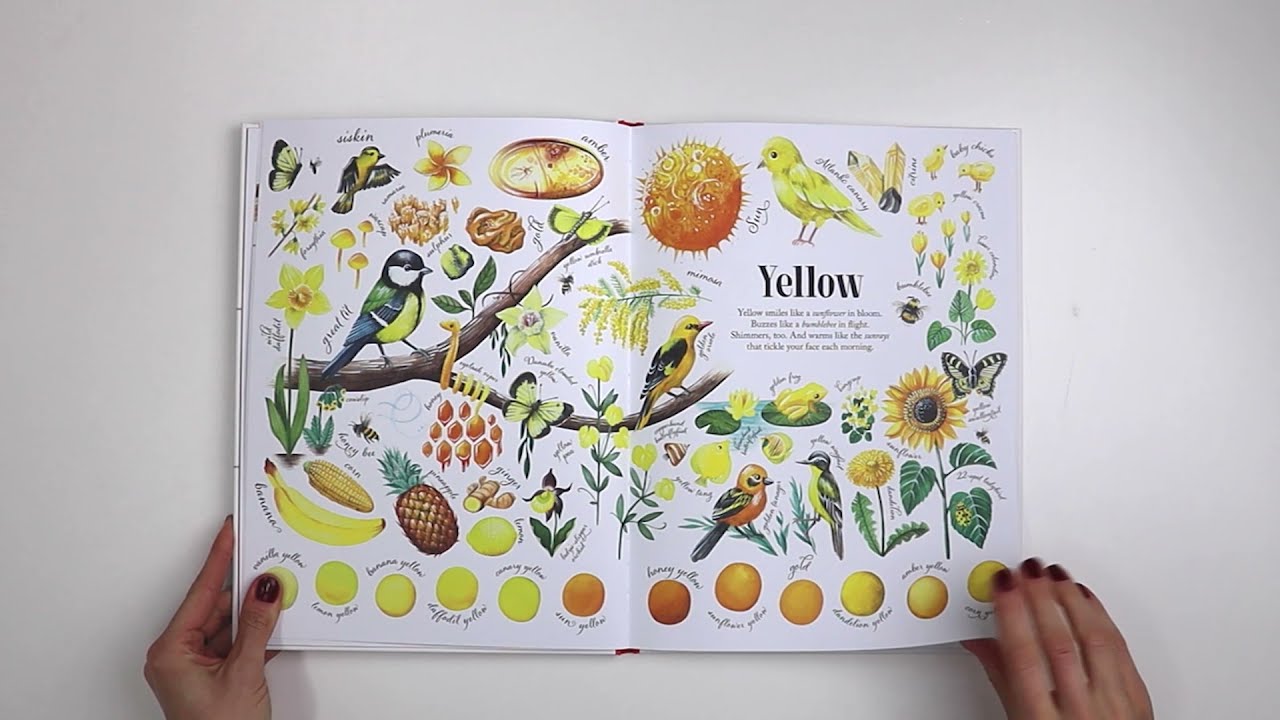 Colors in Nature BOOK