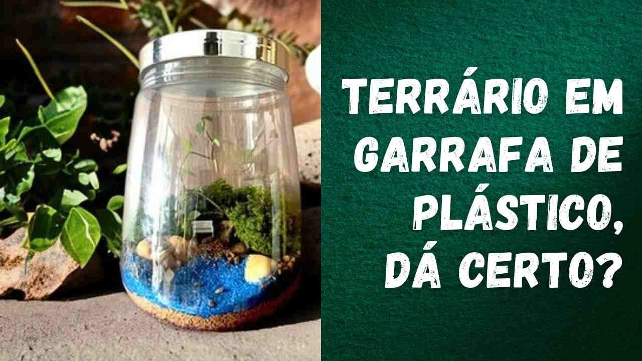 Pode fazer TERRÁRIO em pote de PLÁSTICO?