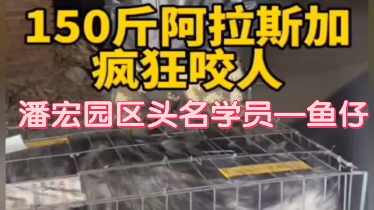 【潘宏爱玩狗】补档：潘宏园区第一位学员&mdash;鱼仔