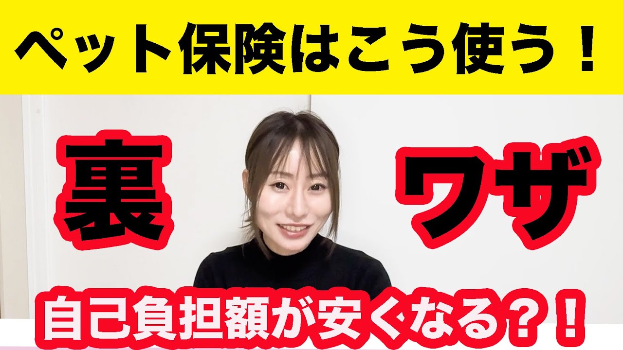 【自己負担を減らす裏技】ペット保険、損しない使い方とは？ペット業界のプロが解説！