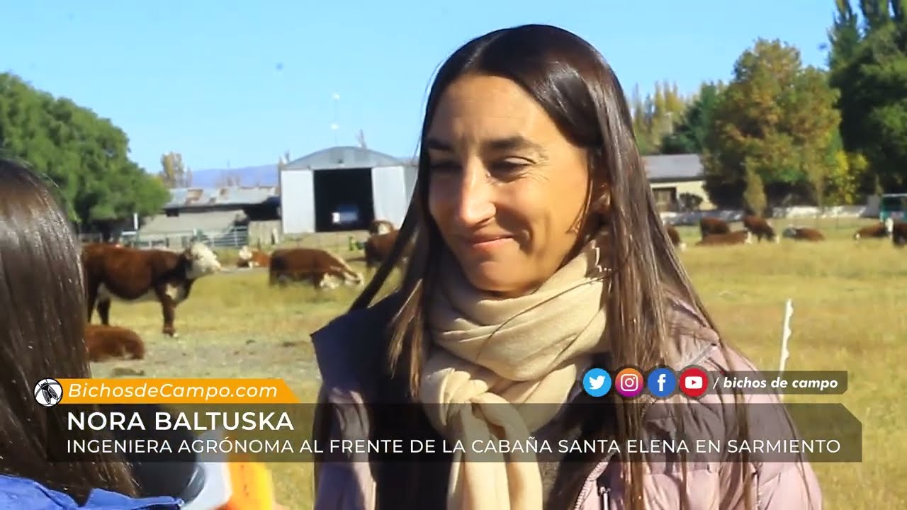 Nora Baltuska, Ingeniera Agrónoma al frente de la Cabaña Santa Elena en Sarmiento