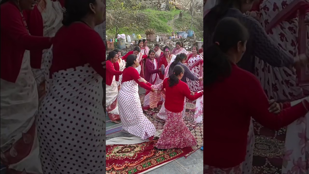 Holi hai!!!  kumauni culture.... #phadi #uttarakhandi #shorts