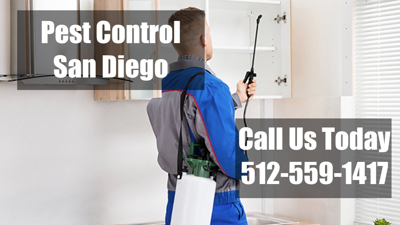 Pest Control In San Diego TX - Exterminators Domestic 24 Hour Termite Control & Bed Bug Control