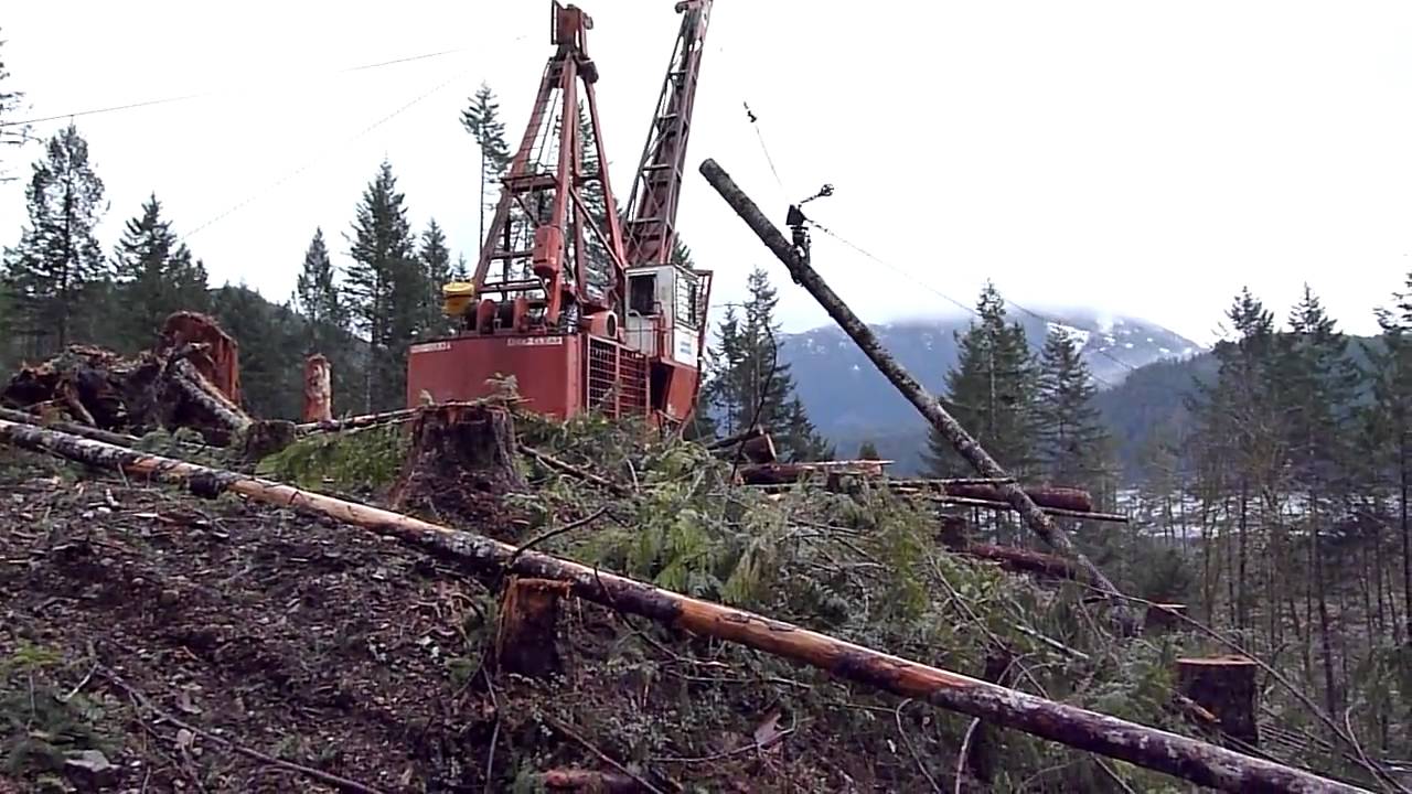 Madill 123 grapple yarding - Mactush