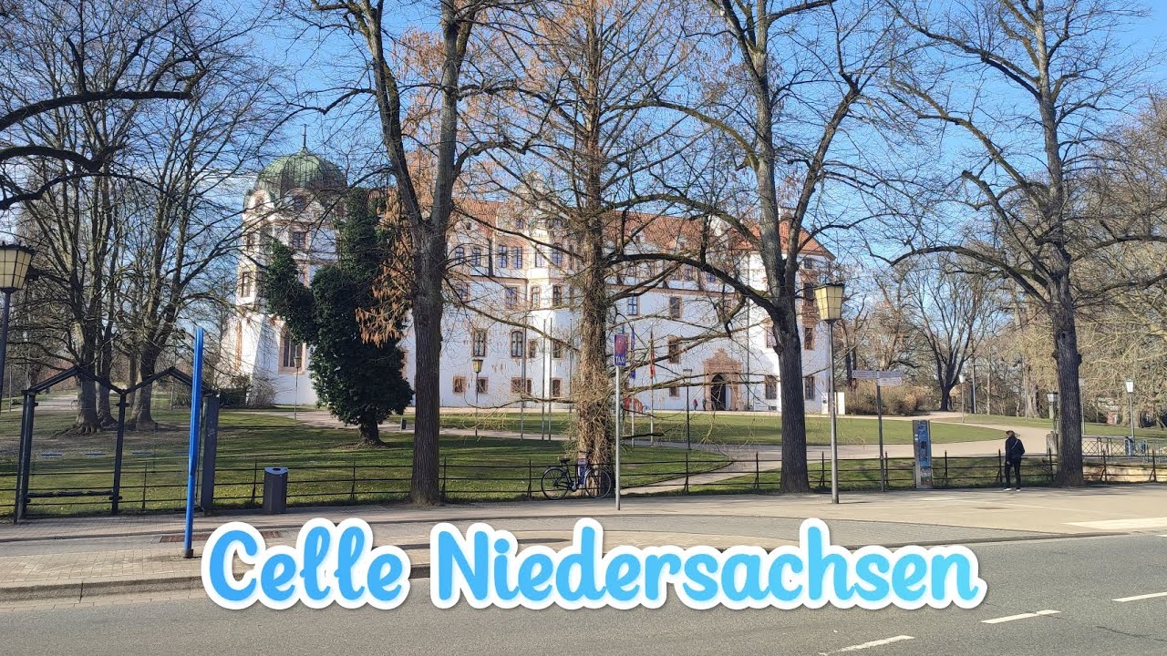 Ein Spaziergang durch Celle mit Nayla прогулка по Целле с Найлой #dog #deutchland #germany 