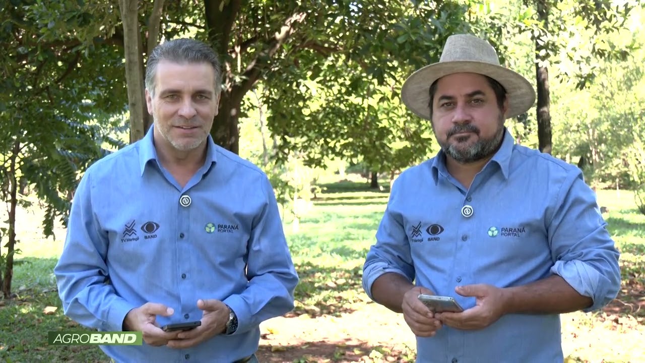PROGRAMA AGRO BAND COM AMARO DE OLIVEIRA E CLEBER FRANÇA DIA
