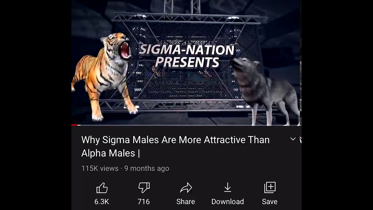 WHY SIGMA MALES ARE MORE ATTRACTIVE THAN ALPHA MALES!!! 😎