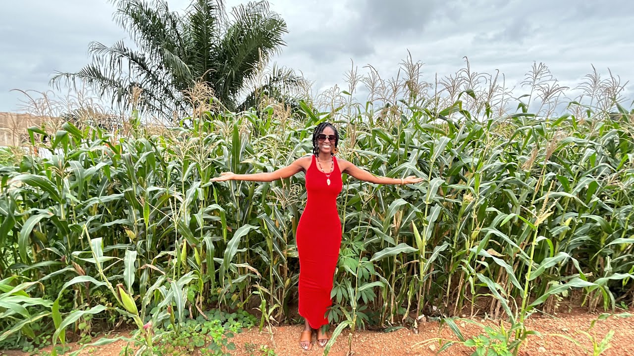 I STARTED MY GARDEN!! 🥬🧅🍅🧄🌽🫛🥔🍠🥕🌿🫚🫑🌶️