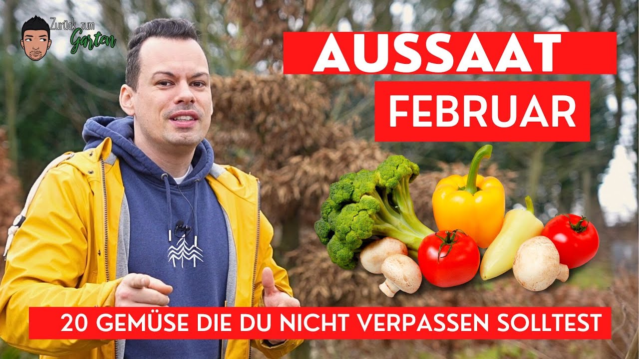 Aussaat Februar - 20 Gemüse die du nicht verpassen solltest