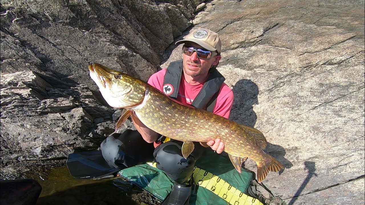 Guerlédan session perche et brochet