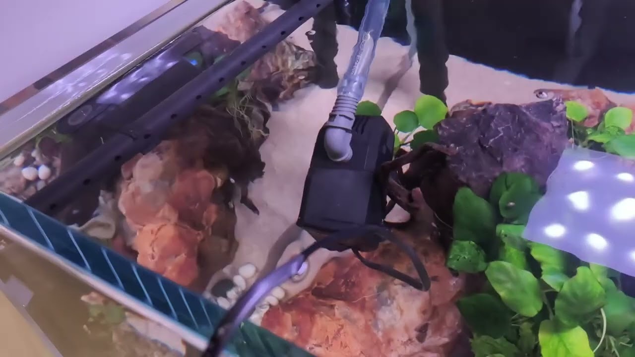Akwarium 300l. Hydroponika koniec