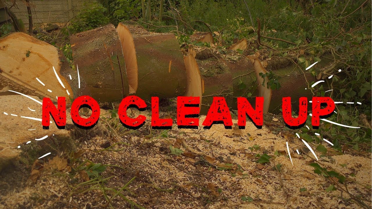 Tree Felling - No Clean Up