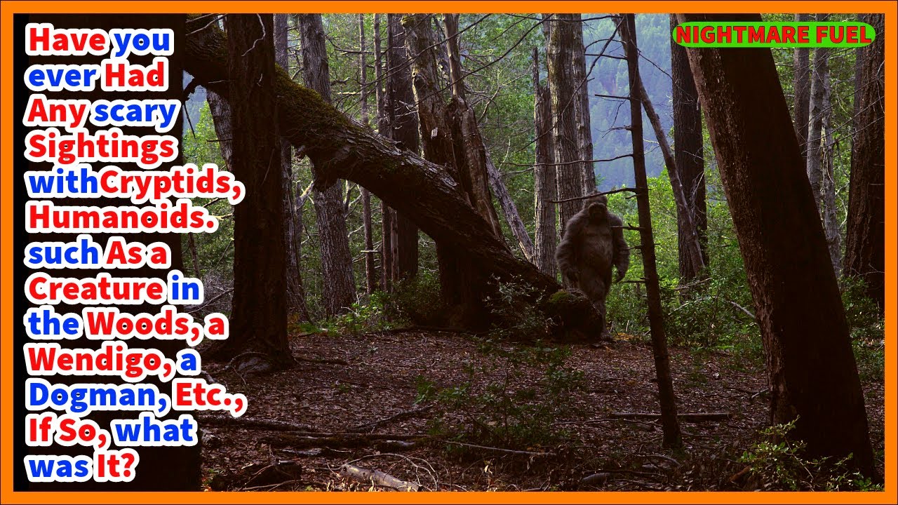 Have you had scary sightings involving cryptids, humanoids, tall creature in the woods, wendigo etc.