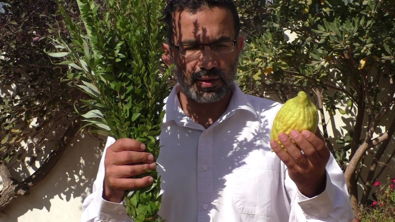 קצרים. נטילת לולב לפי הרמב