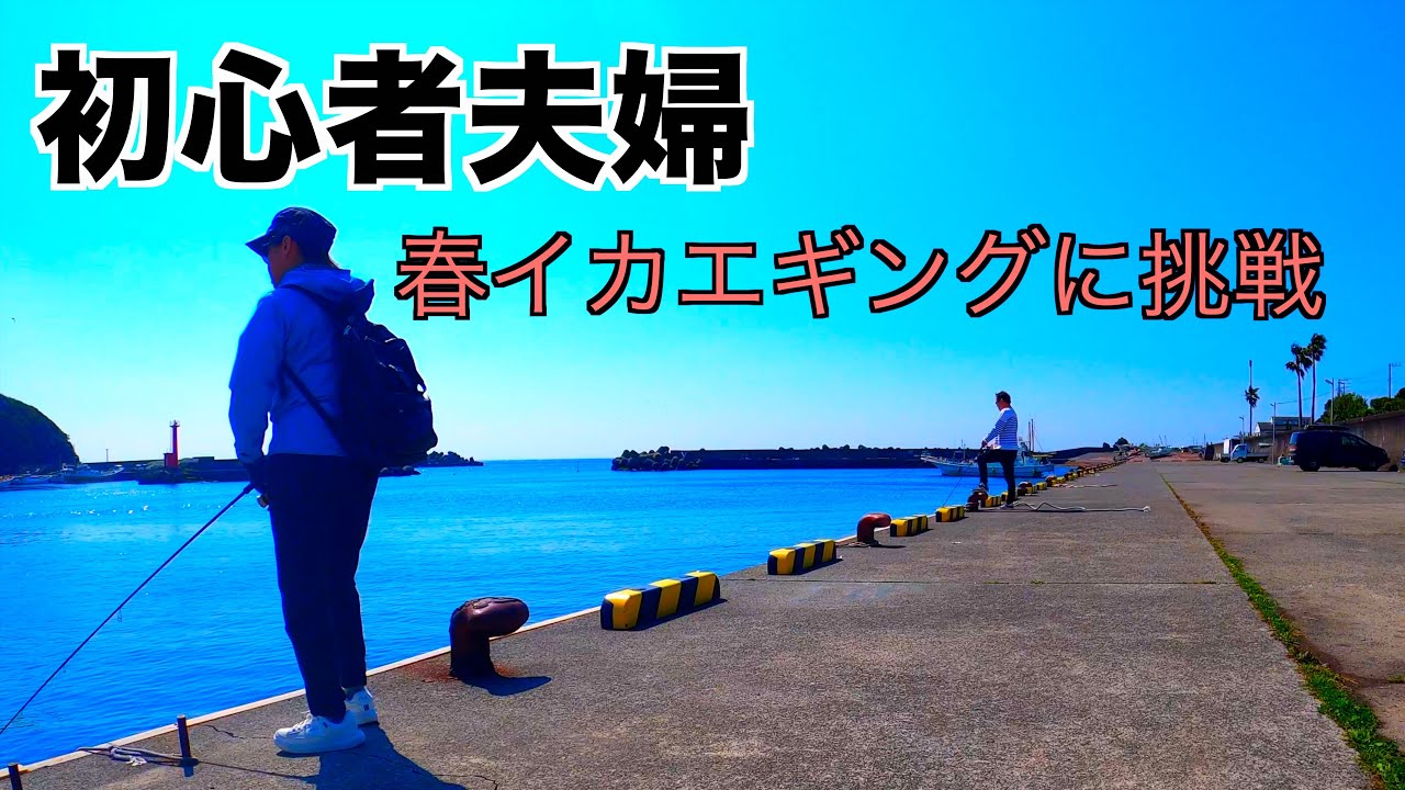 エギング初心者夫婦　春イカはどこに？伊豆半島・東伊豆の釣旅