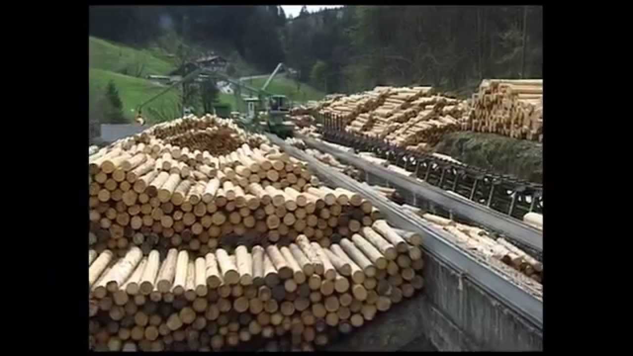 Rundholzplatz / Round wood yard