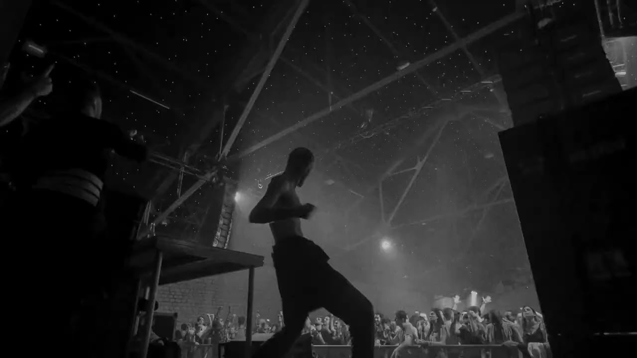WNDRLST - Let Die to Let Live (Visualizer)