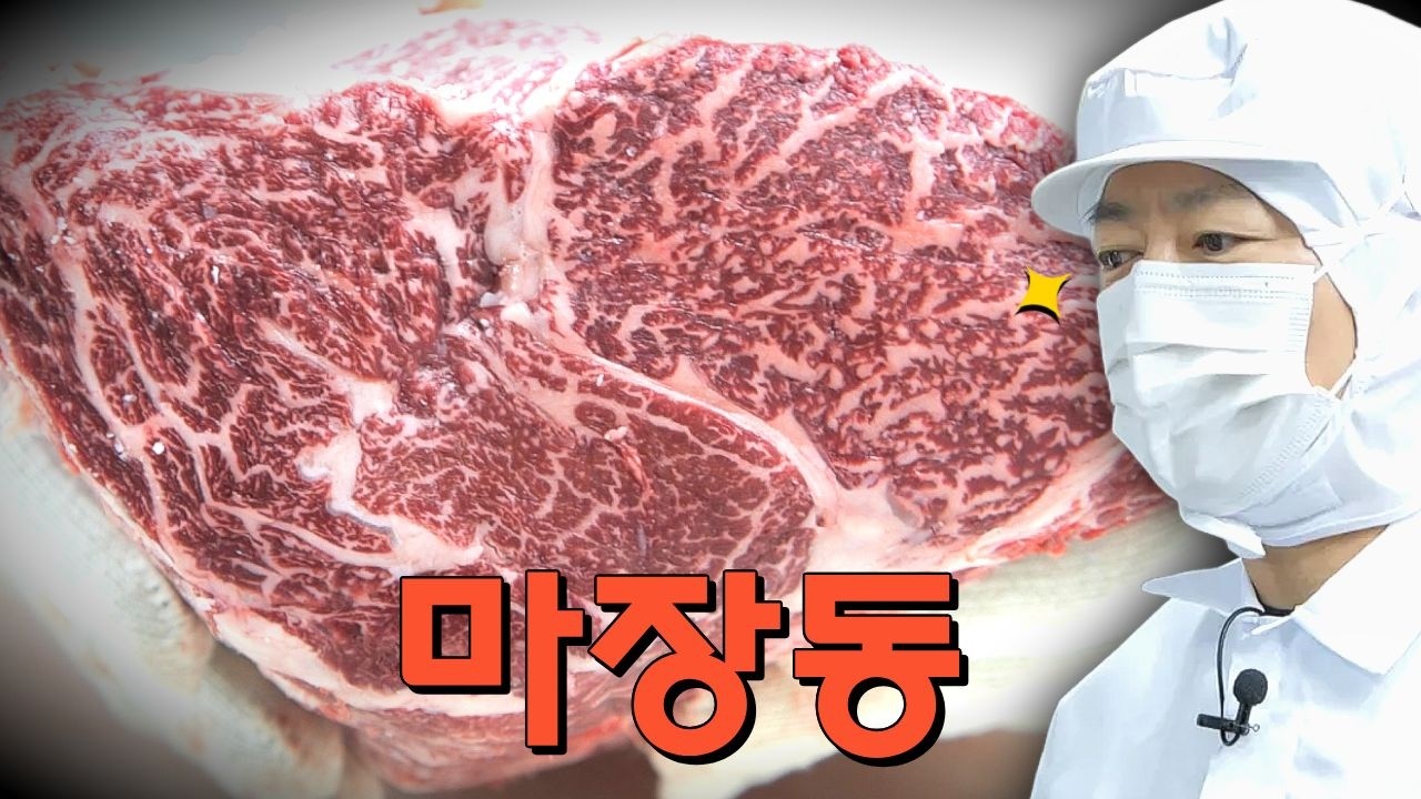 EP23. 강레오가 작정하고 한우를 고르면 생기는 일! 마장동 1%의 비밀
