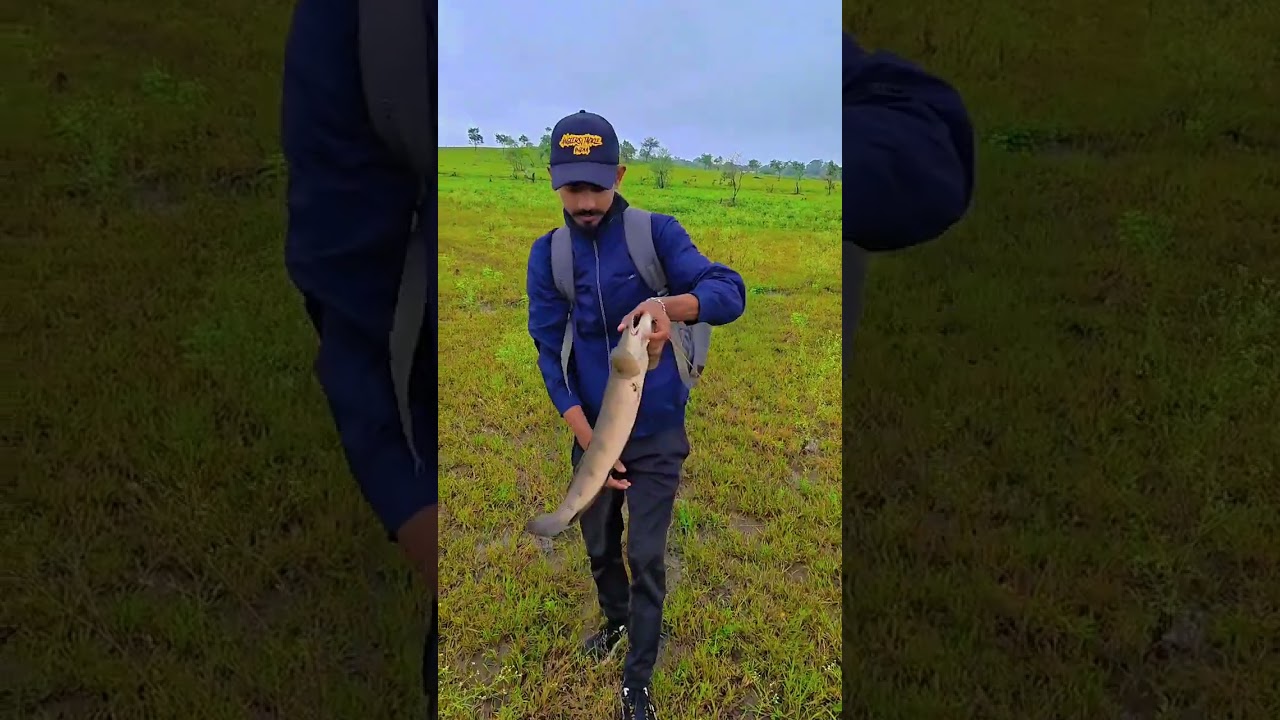 hello guys ak bar phir ap log k samne ak or new video.. snakehead 🐟💯