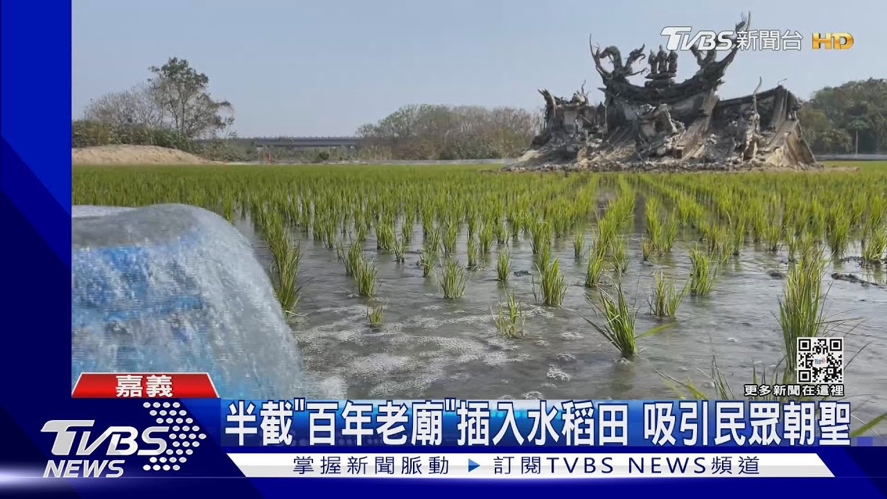 奇景!「半截老廟」深埋田中央 竟是200年前清朝遺址｜TVBS新聞 @TVBSNEWS02