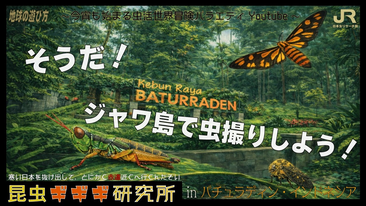 【ギギギ虫旅】虫を探すには先ず環境の良いジャングルを探すのだ in バチュラディン・ジャワ島 インドネシア