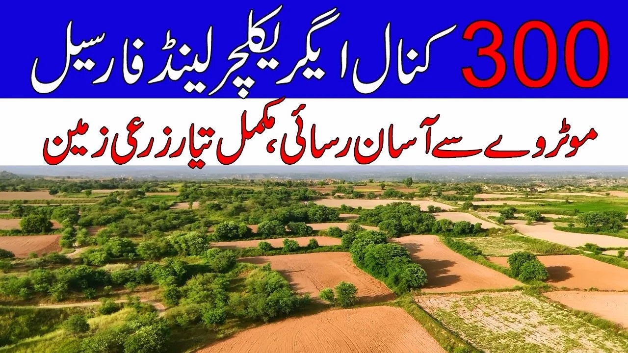 300 Kanal Agriculture Land for Sale in Chakwal   Ideal Location   Motorway Access   2025#chakwal