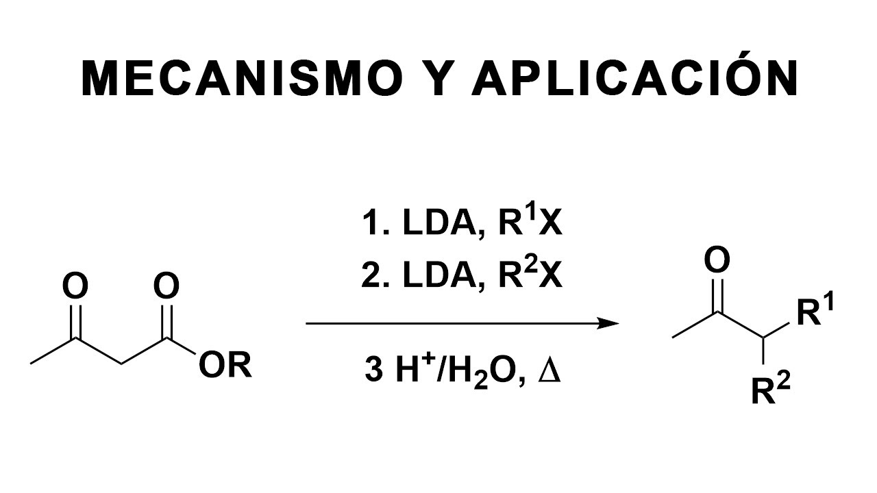 Síntesis del ester acetoacético | Reacciones Orgánicas