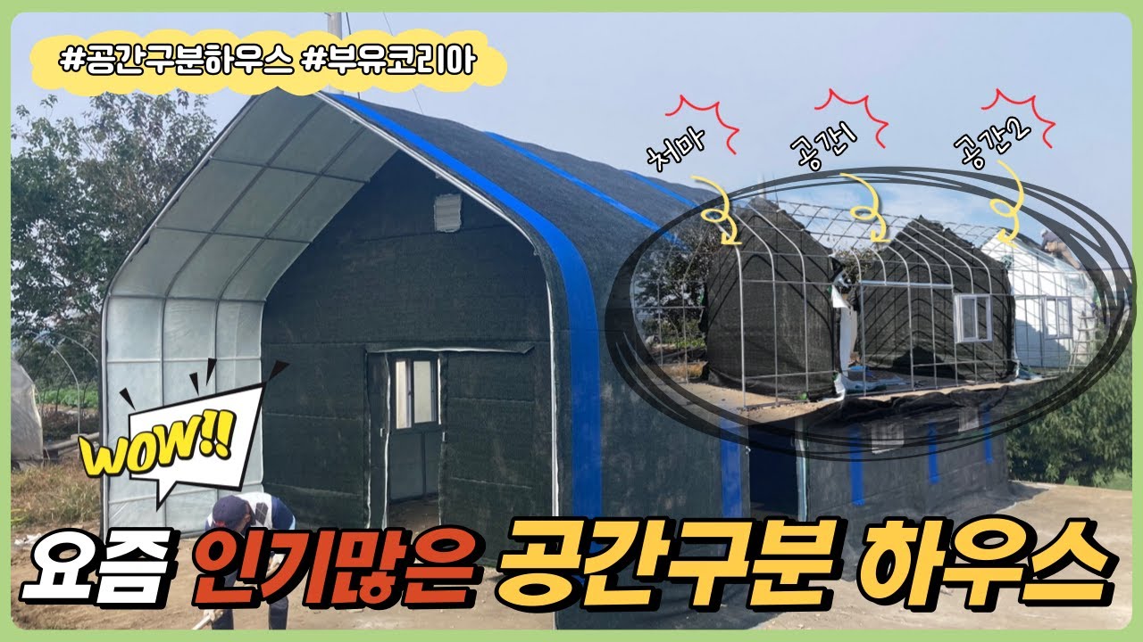 요즘 인기 많은 공간 구분 하우스 | 부유코리아