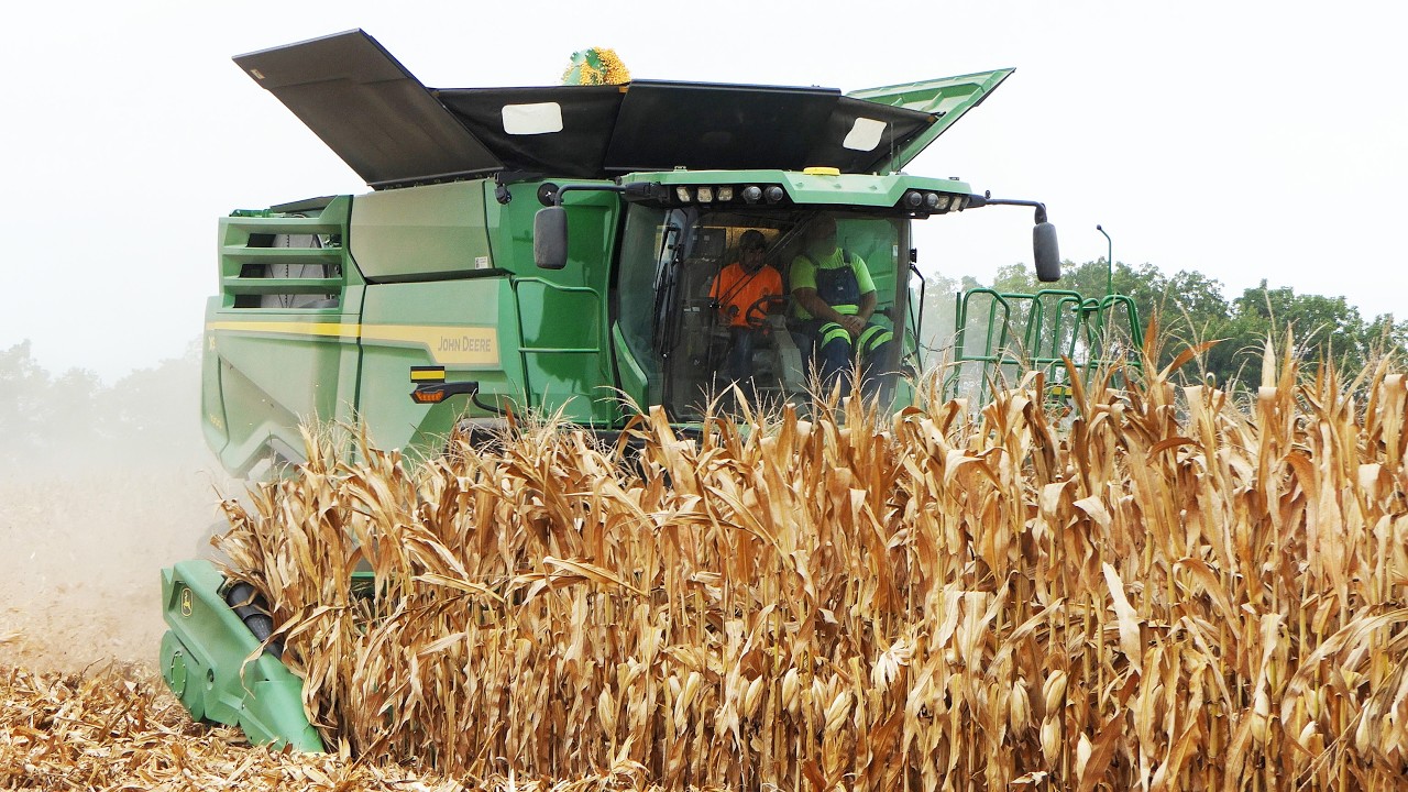 John Deere X9 1000 & International 1460 Axial-Flow Harvesting Corn | Big Farming