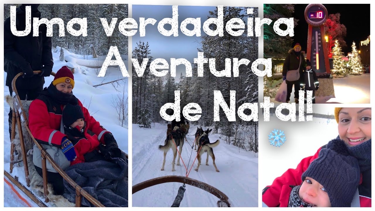 A melhor parte da viagem! ❄️🛷 Típico Norte da Finlândia 🇫🇮