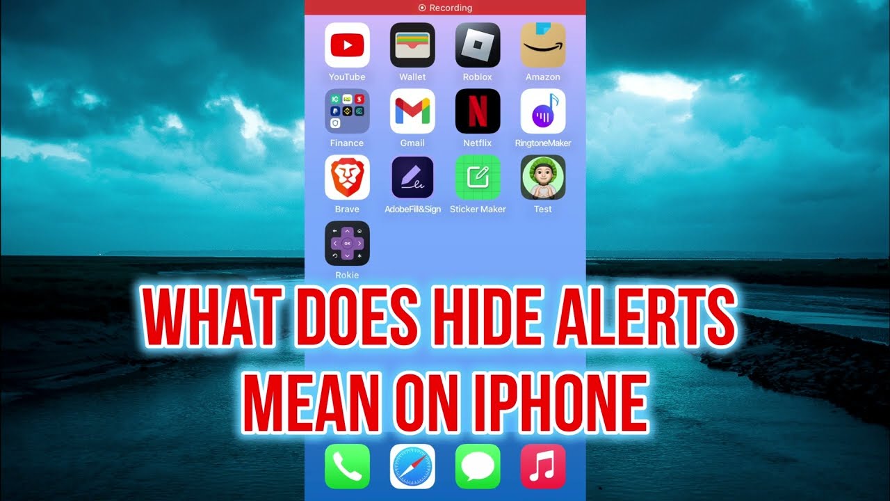WHAT DOES HIDE ALERTS MEAN ON IPHONE