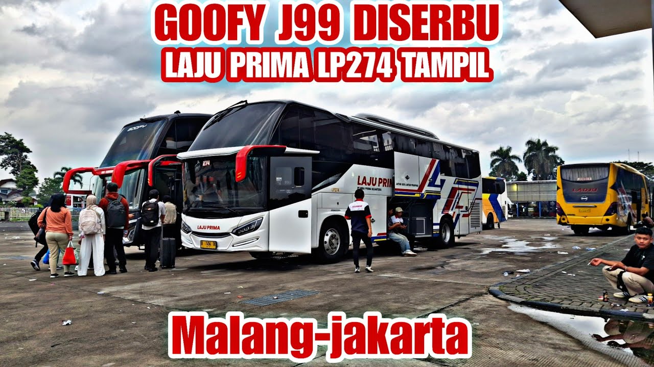 LAJU PRIMA LP274 TAMPIL SENDIRI,J99 GOOFY DISERBU,ADA MEDALI MAS MALANG DENPASAR PROMO?