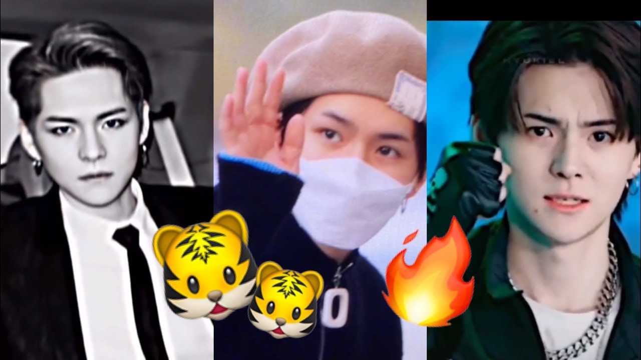 — Yoshi Treasure TikTok Compilation🐯