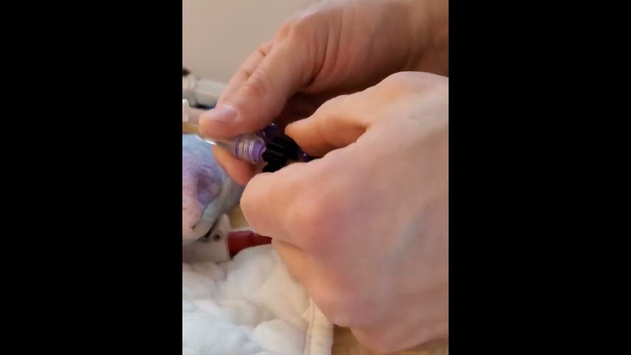 G-Tube Tool for Disconnecting