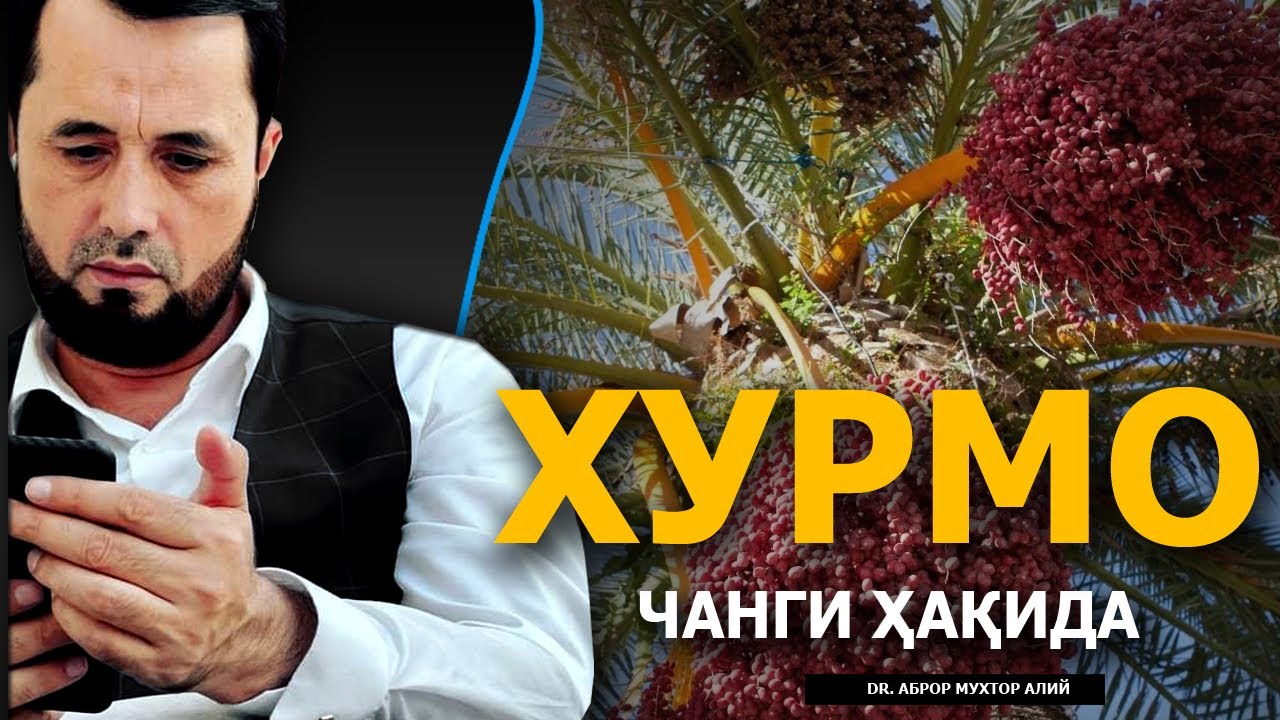 ХУРМО ЧАНГИ ҲАҚИДА - DR. АБРОР МУХТОР АЛИЙ