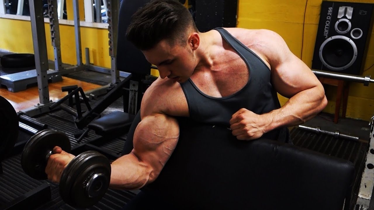 Shredded Bicep & Tricep Workout No Regrets